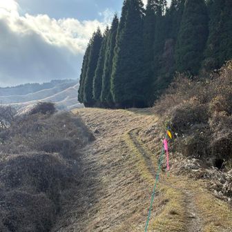 この辺は歩きやすいのに…