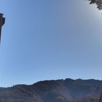 吉水神社の境内にある上千本と中千本の桜が同時に観れる桜見スポット。
桜の季節に絶対来よう