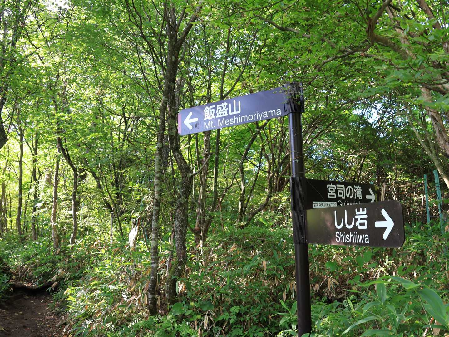 滝が好きでもさすがに70分かけて寄っていられない。素直に山を目指します。