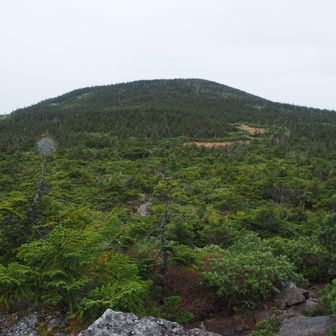 西吾妻山
なんというか…ぬるっとした山容