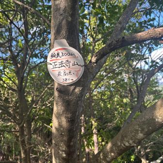 最高点の山頂標。道中の三角点は381m。こちらの方が僅かに高い
