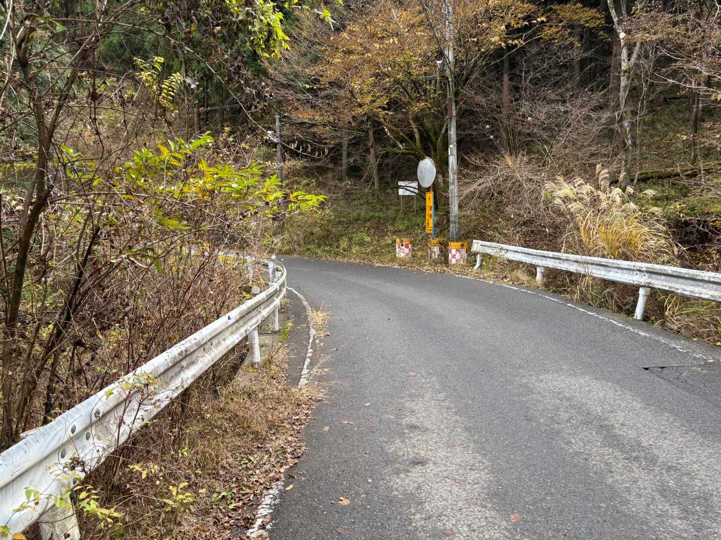 雨が降って来たー！
残り2キロはまさかのロード😂
競歩で帰ります💨