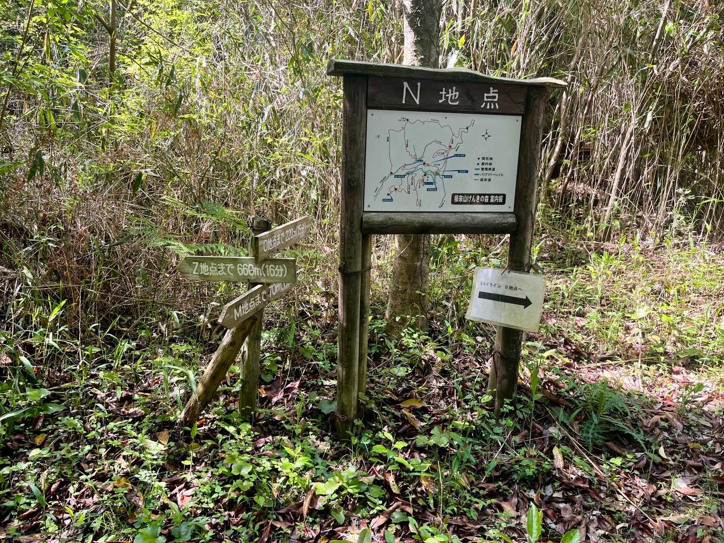 N地点に到着📍ようやく、地点が書かれた看板を発見🪧Z地点まで16分、これはヒノキ谷からの下山ルート⤵️O地点まで15分、スカイラインに根来山ピークがあるっぽい。O地点へ👉