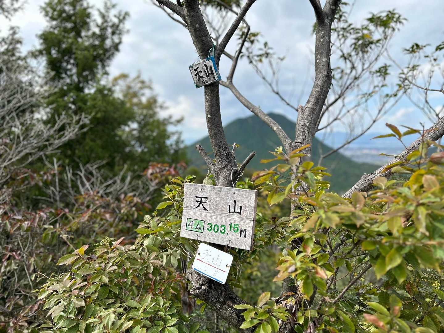 天山 往復コースの写真