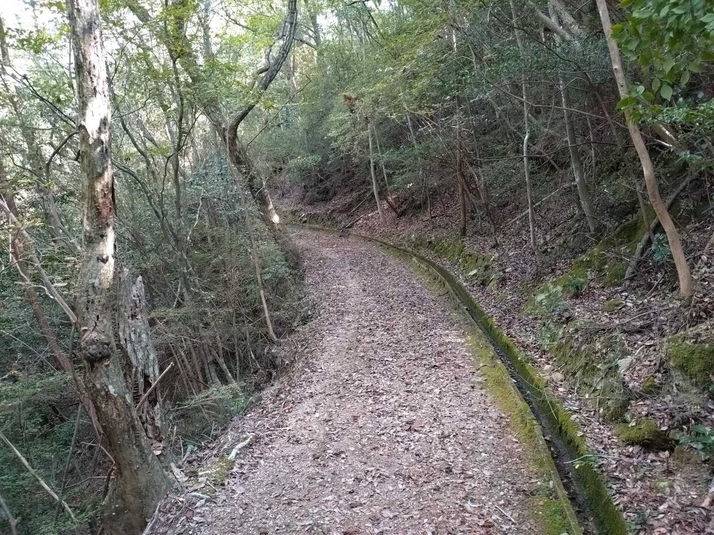 【飯盛山】へ向かいます
道が広くなりました😙
🕷️家屋もありません✌️