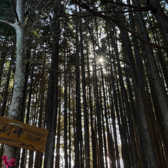 そして野副峰🙌