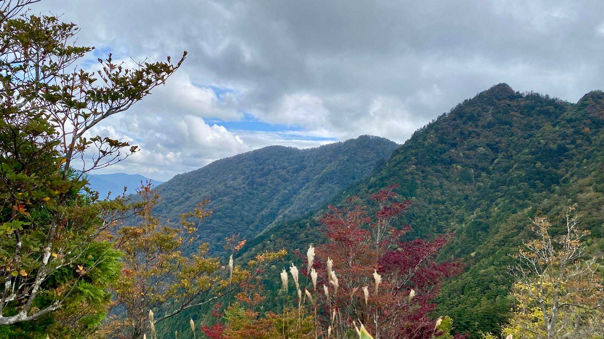 紅葉🍁