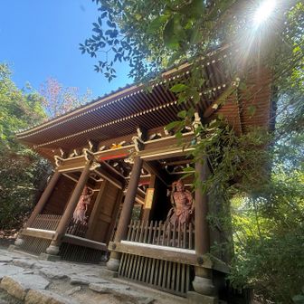 登山する人、少ないなー
外国人は少なからずいるけども。