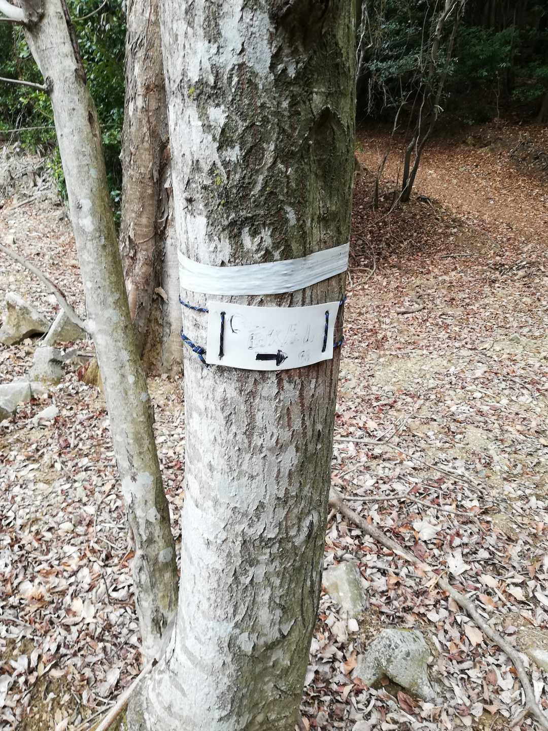 うっすら畝原山って書いてありました😅