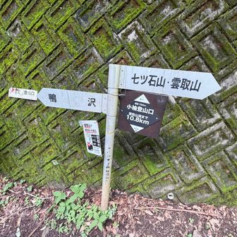 登山中にすれ違った登山者さんの殆んどを追い越して、そんなこんなで登山口！ほっとした瞬間です。
