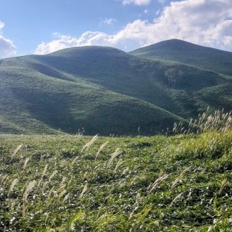 🌾ススキと三峰山💚
今日から9月
秋の訪れ🌾🌾