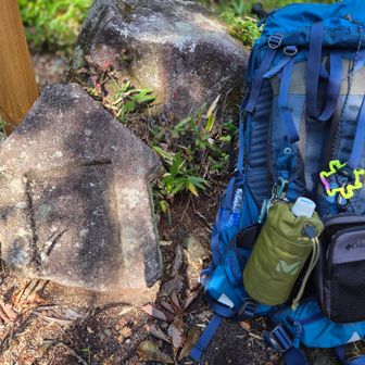指尾山    腰掛けたらばちがあたるやつでは🤔