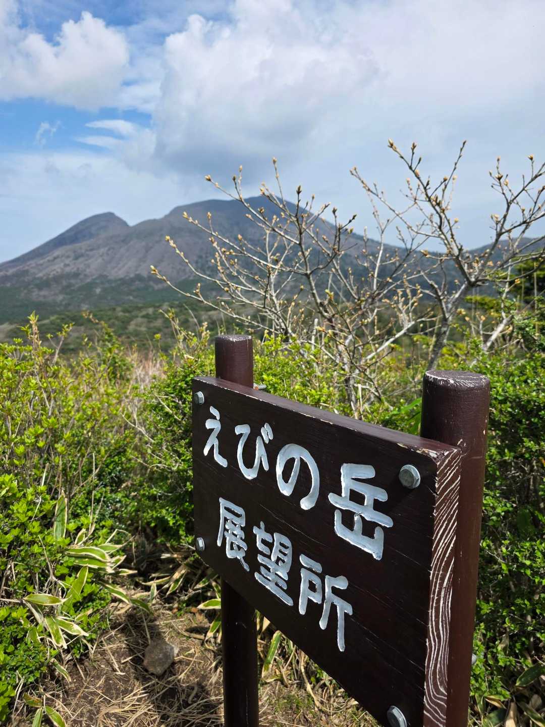 展望所