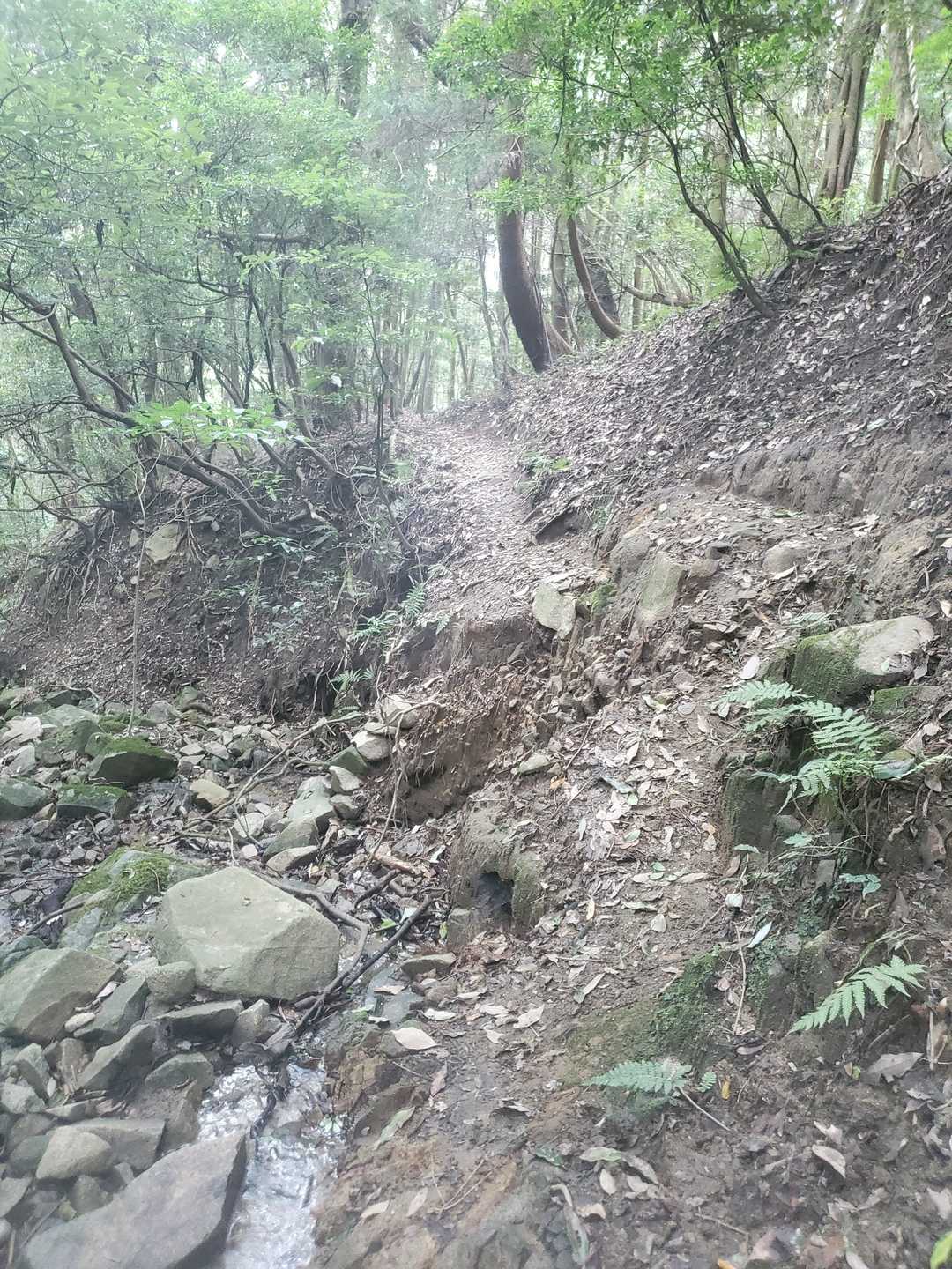 下山はちょっとだけ🏃💨
