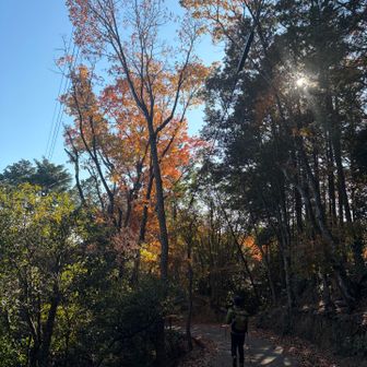 お疲れ様でした♪