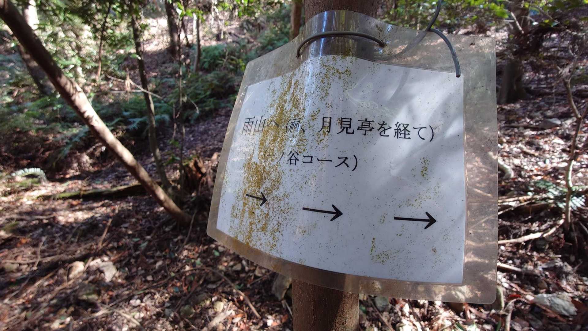 これを見つけてひと安心です。