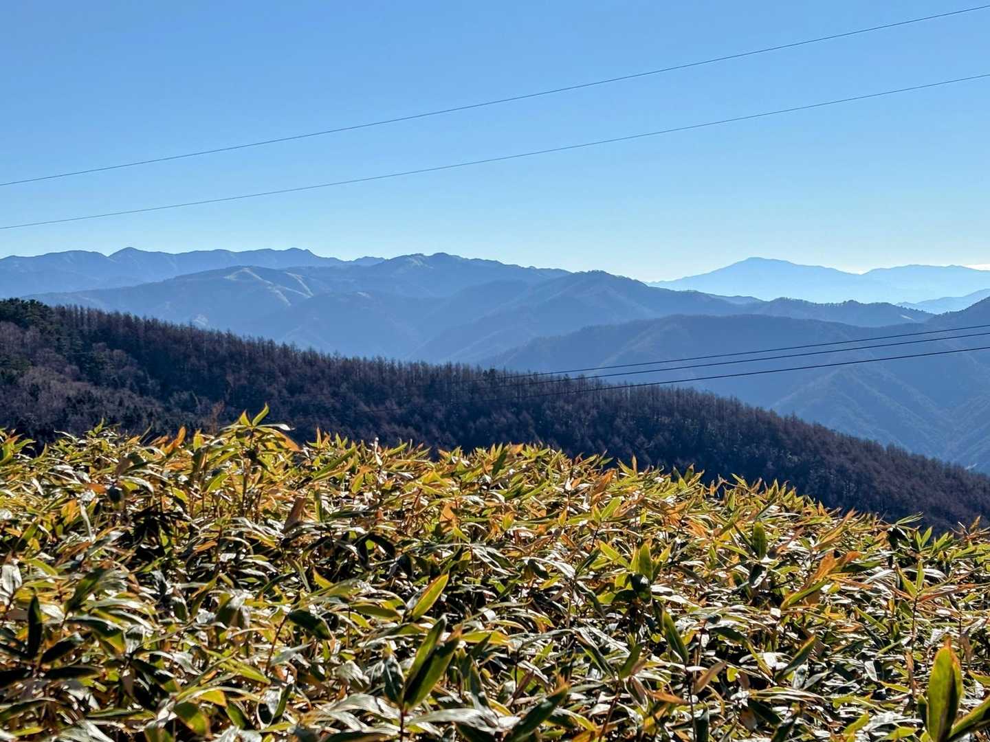 御前山 往復コースの写真