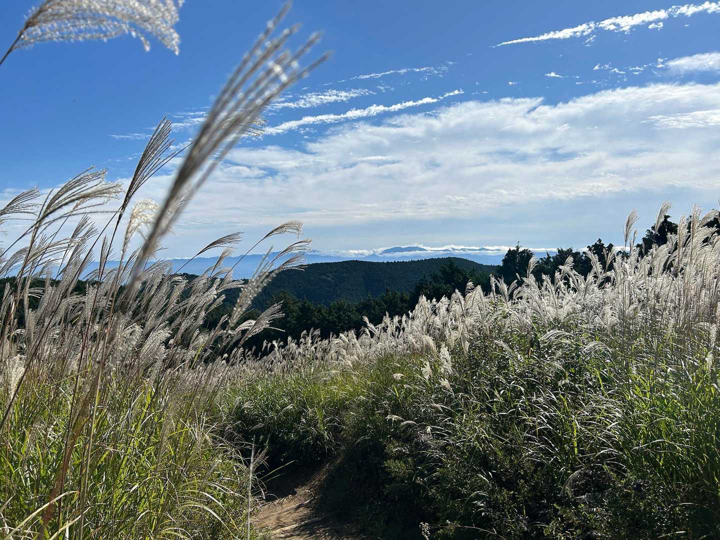 八経ヶ岳