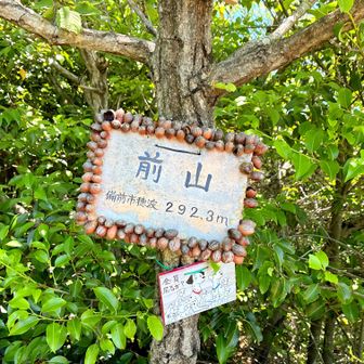 前山到着