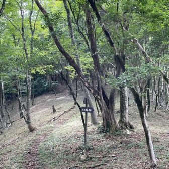 帰りはトラバース道右➡️
