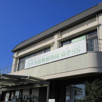 九十九島動植物園に駐車してスタート