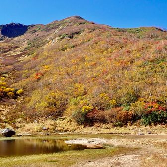 全て堪能するため平の池に降りて散策
紅葉🍁が美しい😍
