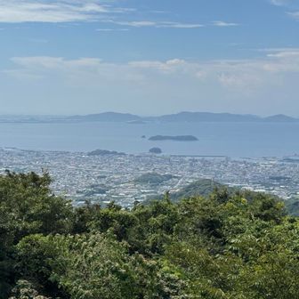 展望台からの眺め