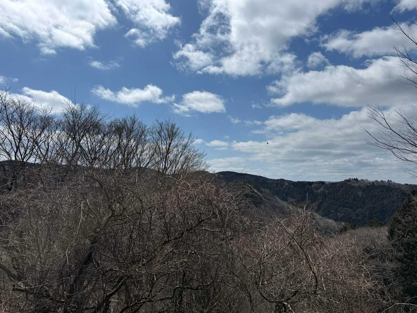 北笠岳-嘉嶺の頭-笹子山-経ヶ峰-稲子山南峰-稲子山 周回コースの写真