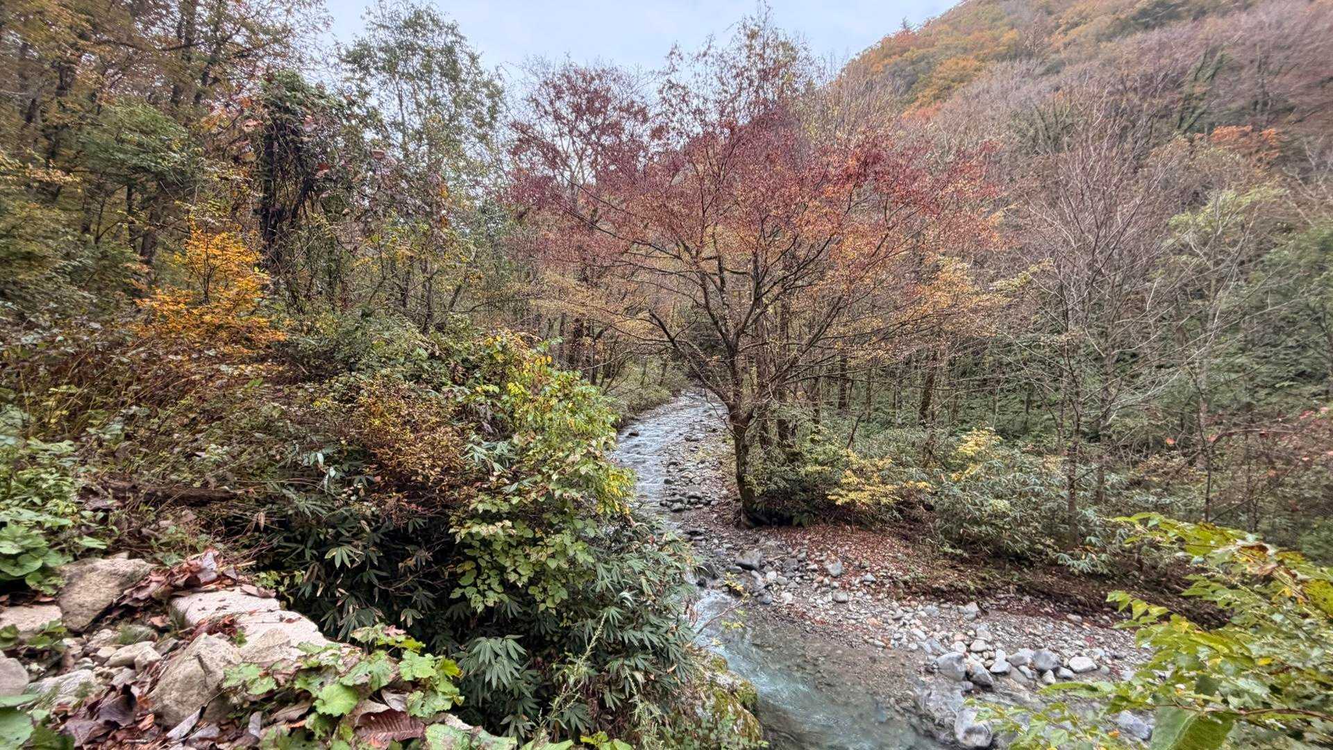 沢沿いを歩きます