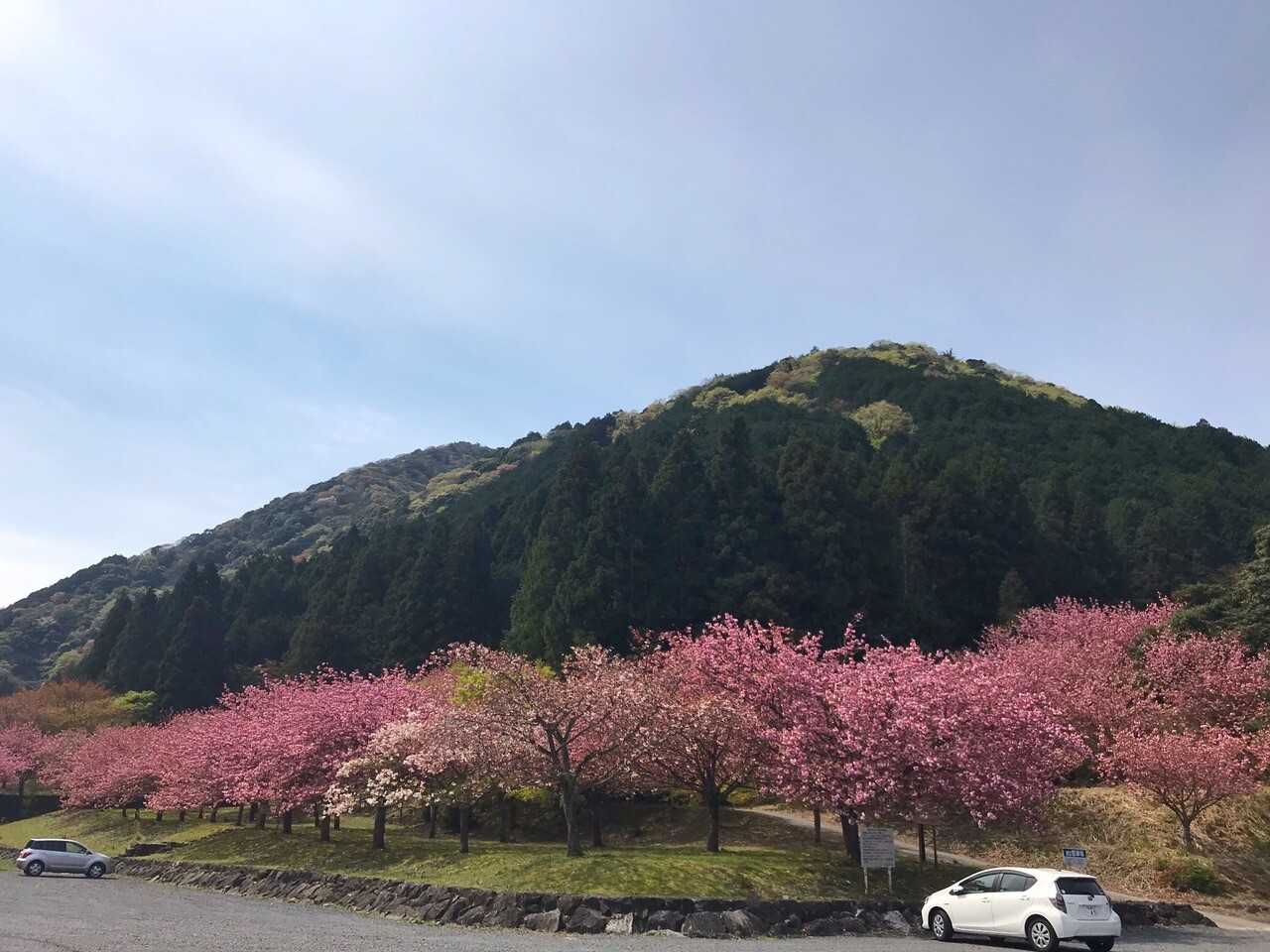 飯盛山（勇守山）の写真