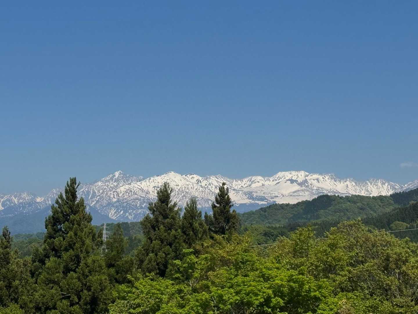 猿倉山-御前山-小佐波御前山 往復コースの写真