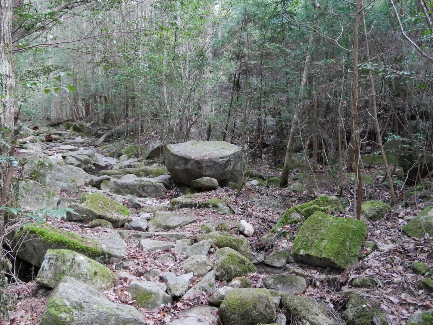 岩ゴロゴロ道。あれは勝手に命名「お椀岩」。