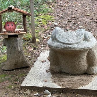 中里カエル🐸とトン子