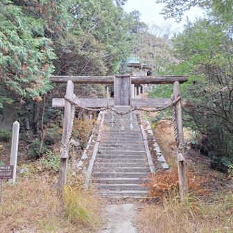 金立神社上宮の石段を降りてきた。平安時代から続くという由緒ある神社だった😊