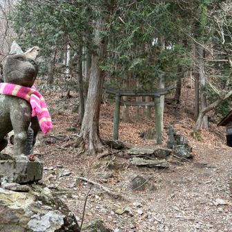 鳴神山の入り口。
狐様のマフラーが可愛い🧣