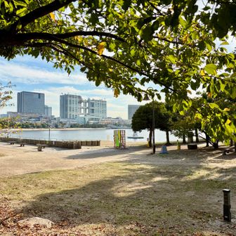 台場公園へ