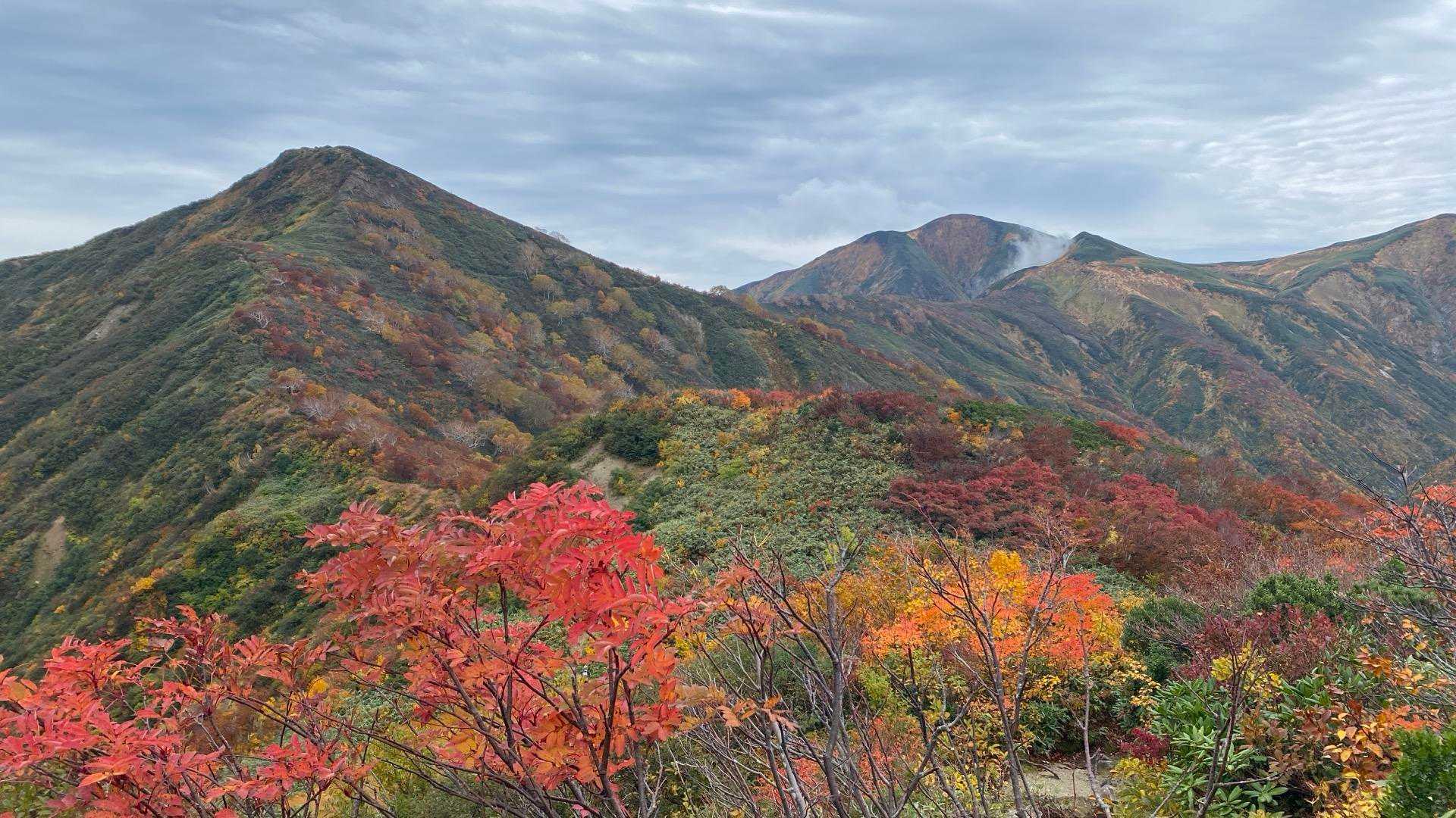 古寺鉱泉コース | 果てしなきビクトリーロード、大自然の息吹を肌で感じる稜線歩きの写真
