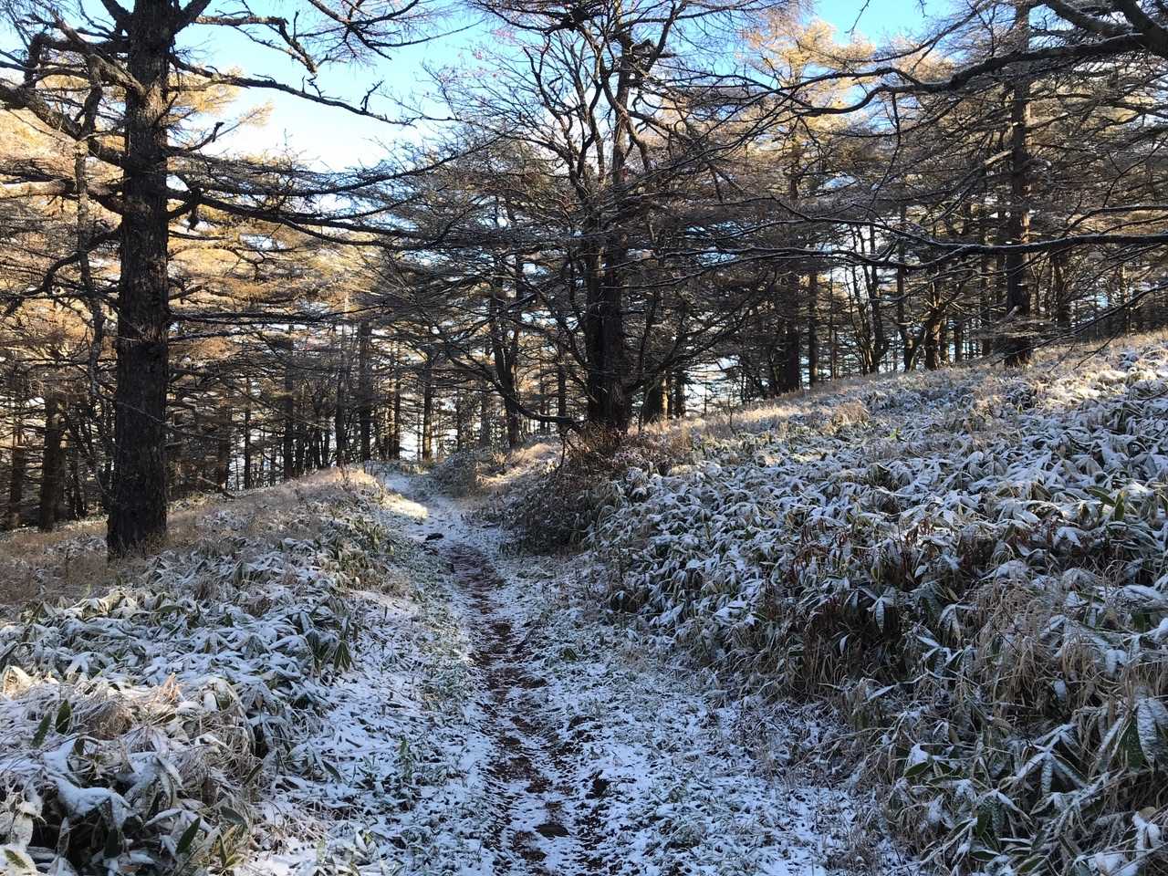 中コース、薄く積雪が有ります。