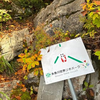 分岐