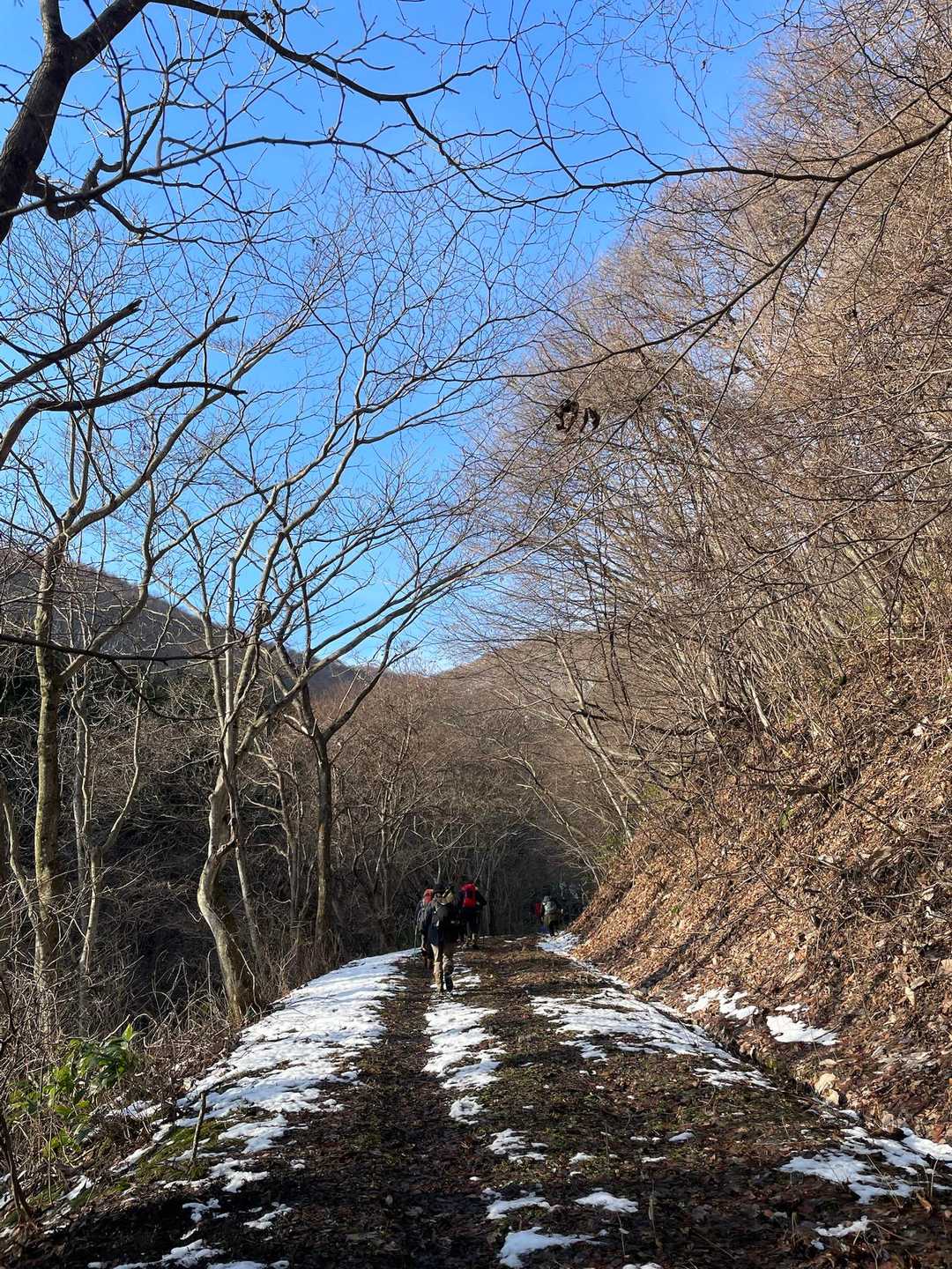 雪ないじゃーん！と余裕かます