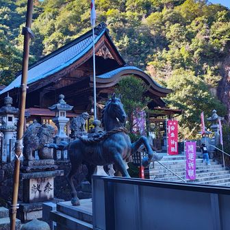 大頭神社参拝

グレーピークの行者山へ

お二人はまだまだ元気
僕はもうお疲れ
山頂手前で引き返し100mルールで
インチキしました🙇‍♂️