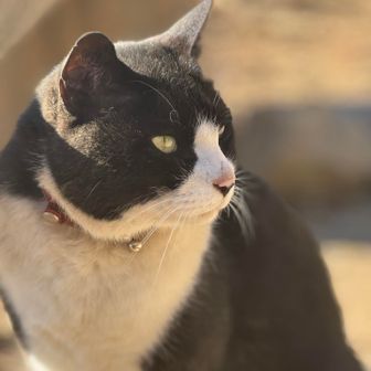 支配人現れました！