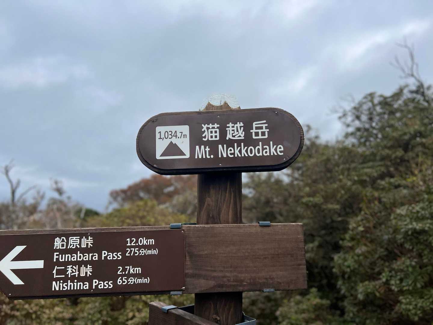 15回目の猫越岳山頂。どんより空。