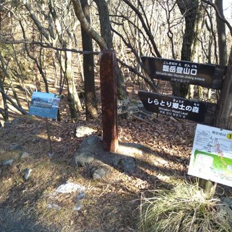 登山口。県道1号線のガードレール脇にあります。