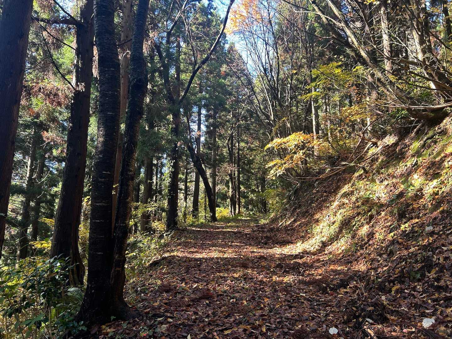 歩きやすくて明るい🔆