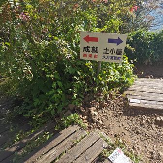 歩いて来た土小屋コースと成就コースの合流点です