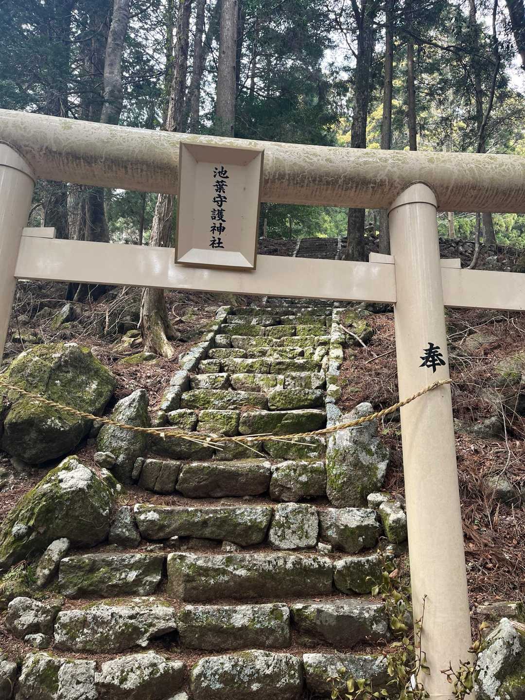 林道だけダッシュしてペースを稼ぐのはやめます🙏⛩️