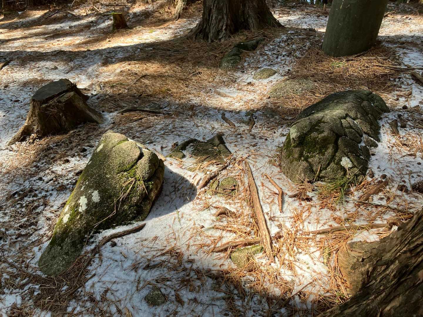 亀の甲岩