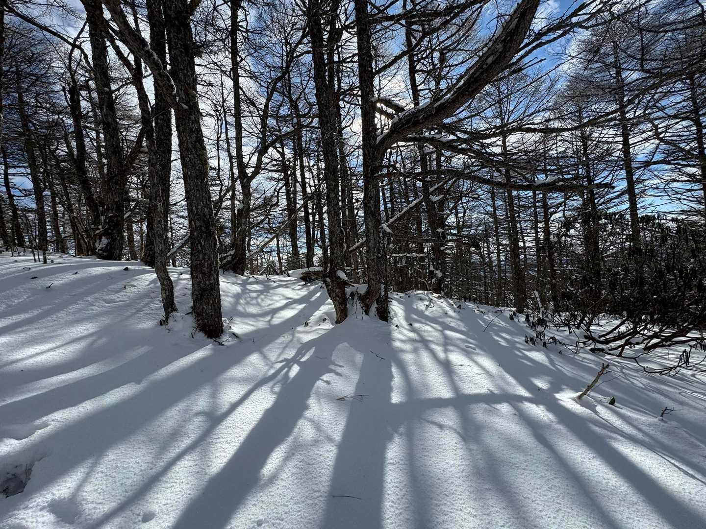 明るい気持ちで