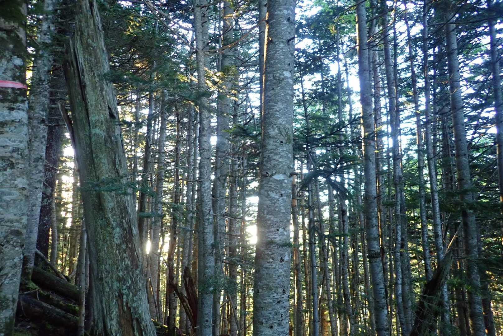 夜明け
陽の光が美しい